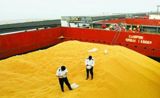 农业部官员：无过度进口国产豆年产或达到3000万吨